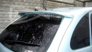 Takspoiler Citroen Xsara Picasso