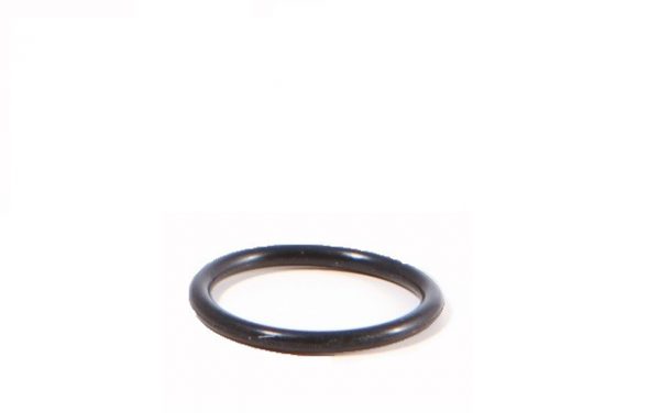lmr Sealing ring for Thermostat
