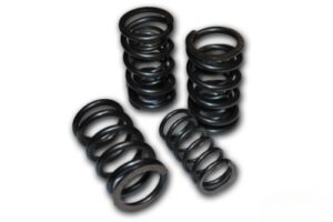 Dubbla ventilfjädrar volvo 8V 40-47kg