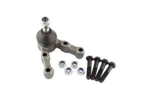 Spindelled Amazon, P1800
